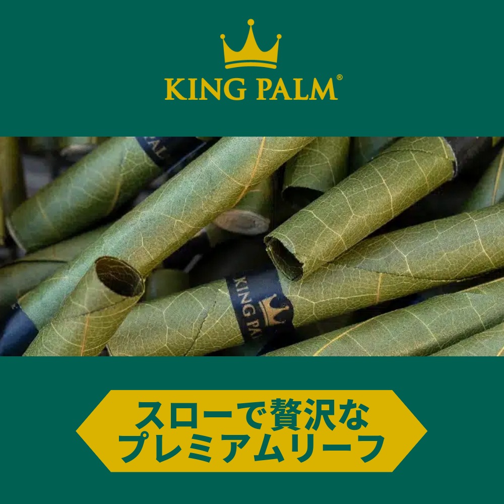 slide-king-palm